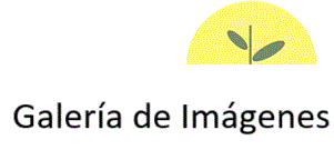 Galeria de imagenes